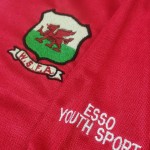 Brian Law - Wales Schoolboy Shirt - Badge